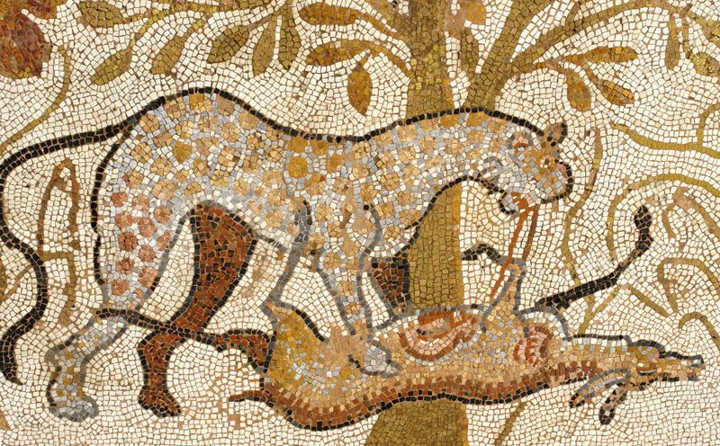 Mosaic Nartex - Large basilica - Heraclea Lyncestis - detail