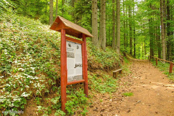 WW1 National Park Pelister 01