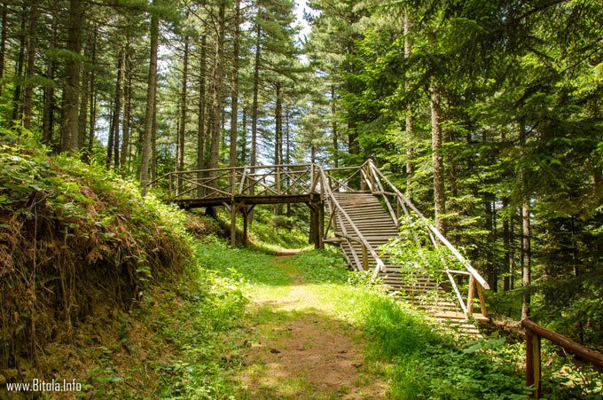 WW1 National Park Pelister 03