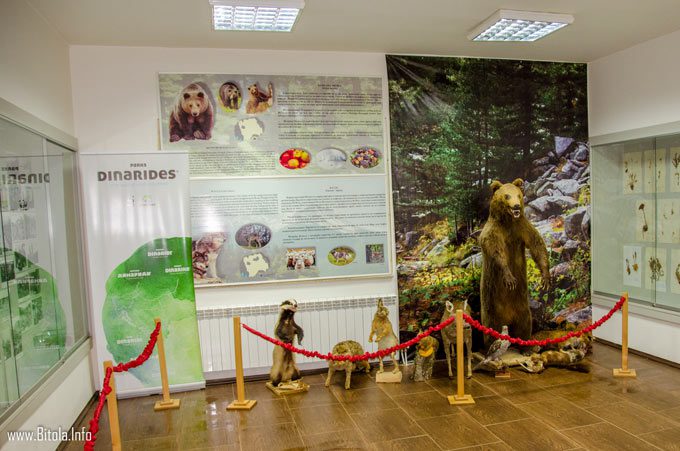 pelister info center - exhibition room
