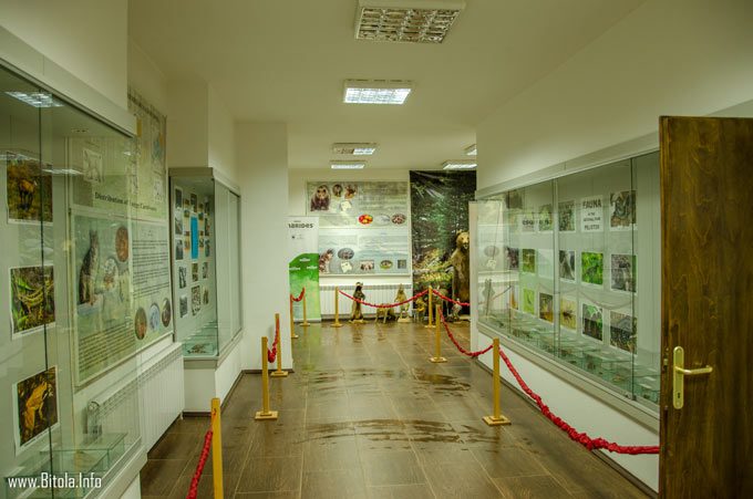 pelister info center 04 - exhibiton room