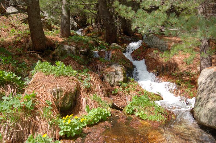 jorgov kamen pelister hiking trail
