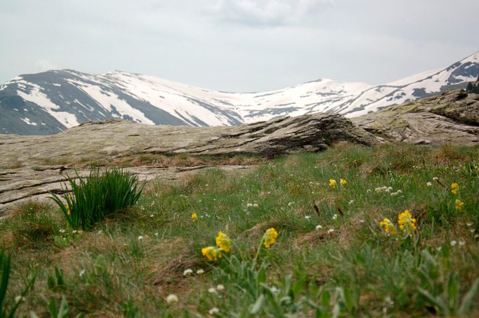 Jorgov Kamen Pelister Hiking Trail