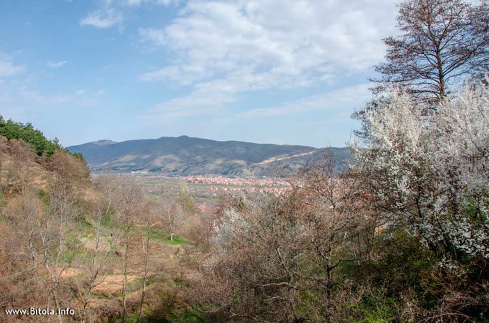 Sv Ilija Lavci, Bitola