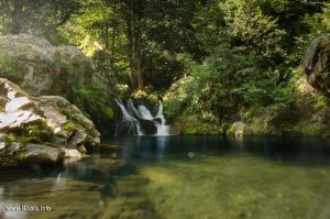 Kapejnci na Dragor, Dihovo, Bitola