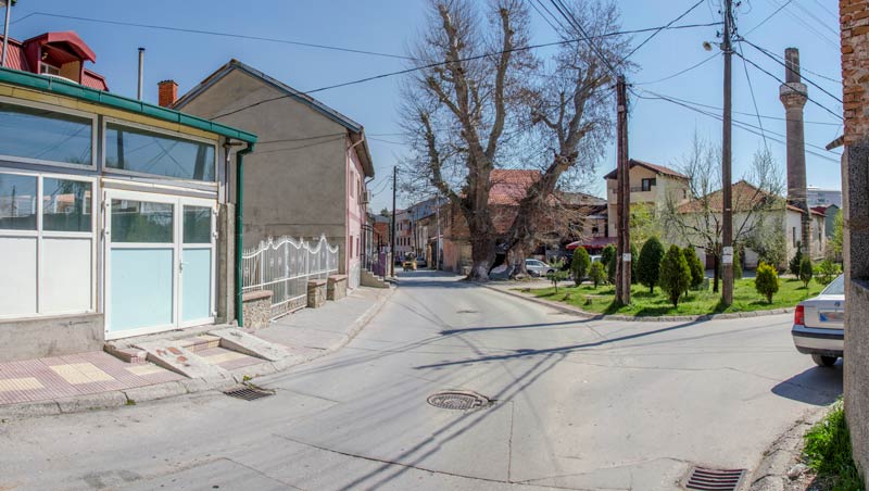 Битолскиот чинар - фотографиран 2017 година