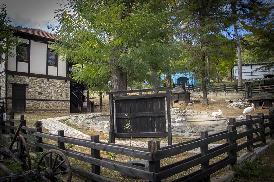 Bitola Zoo 11