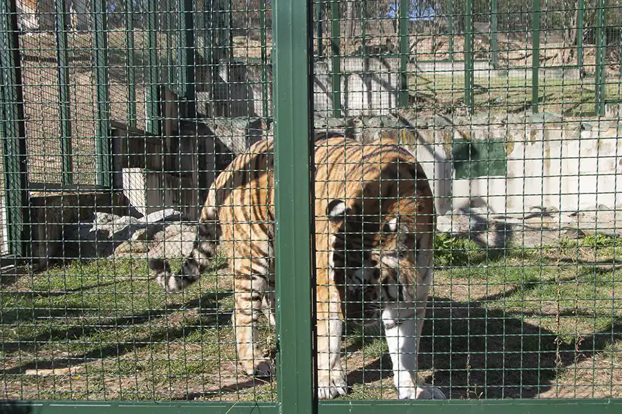 Bitola Zoo 2