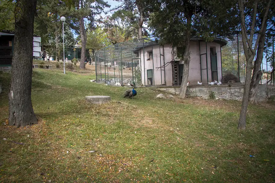 Bitola Zoo 8