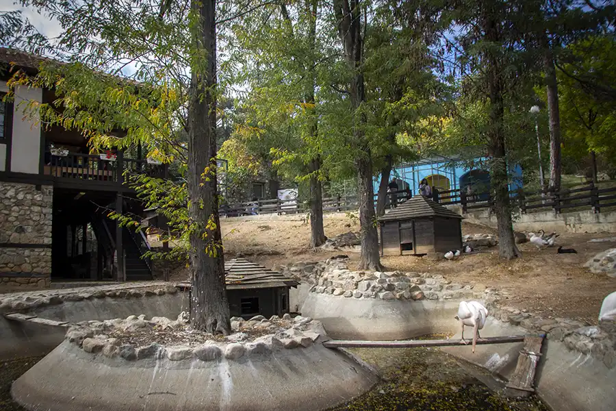 Bitola Zoo 9