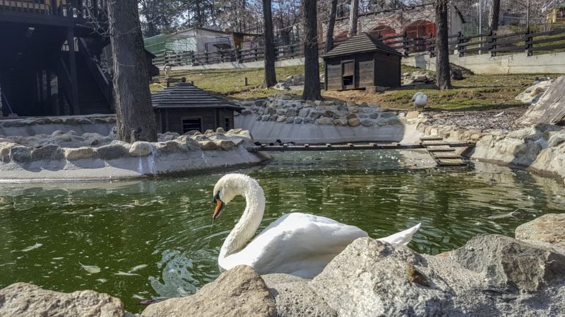 Zoo Garden Bitola
