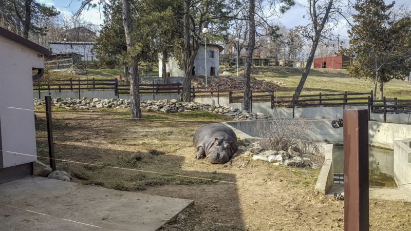 Zoo Garden Bitola