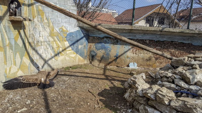 Zoo Garden Bitola