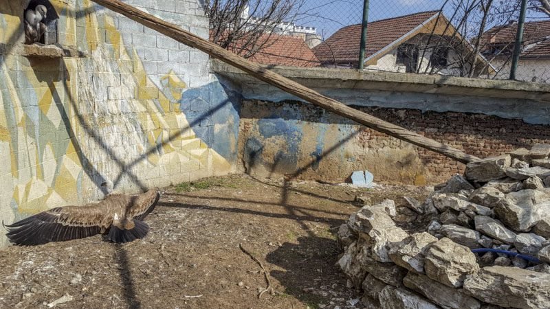 Zoo Garden Bitola