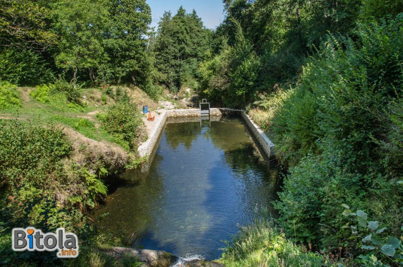 Вистински вир село Цапари