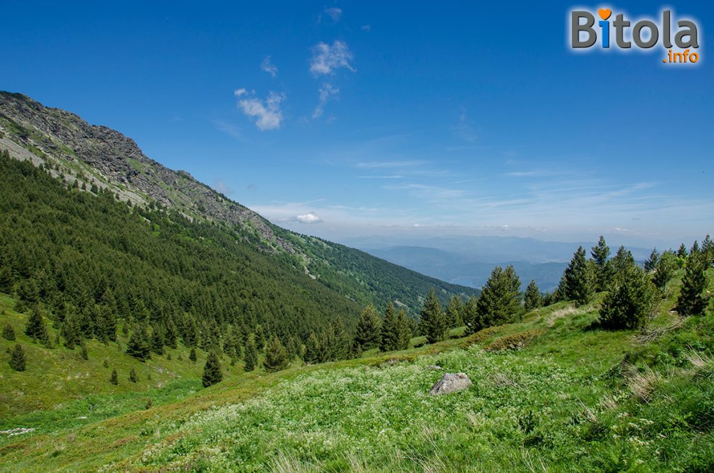 Pelister National Park