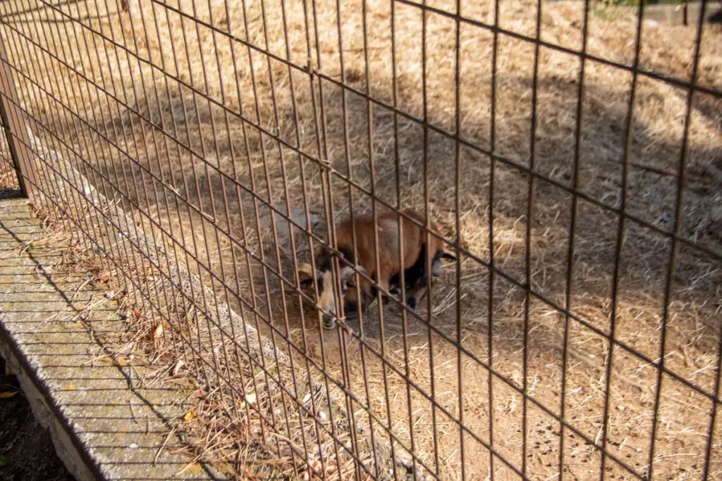 Florina Zoo
